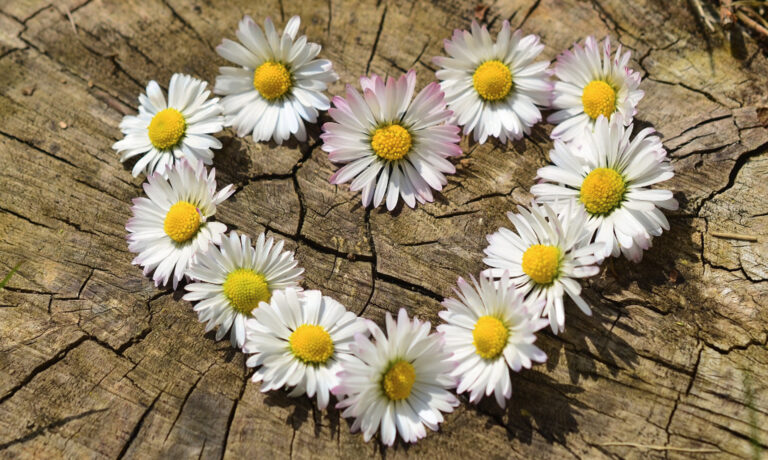 NUR DIE LIEBE ZÄHLT